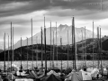 pilatus