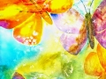 Sommerwind